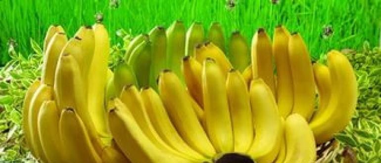Как сделать банановое пюре для грудничка в домашних условиях