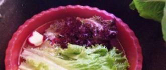 Салат с рукколой и гранатом рецепт
