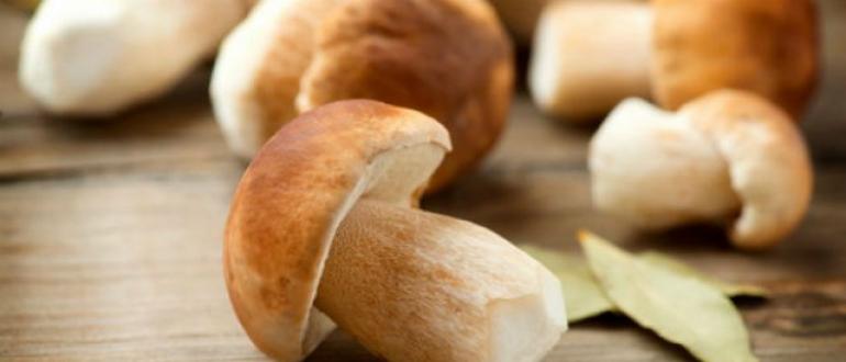 Рецепт маринования грибов боровиков
