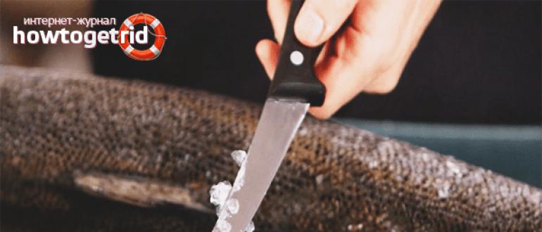 Как чистить рыбу правильно?